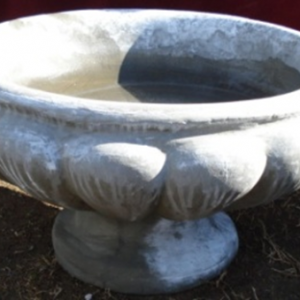 Arizona Bowl Planter